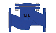 Обратный клапан фланцевый подпружиненный T.i.S. B042